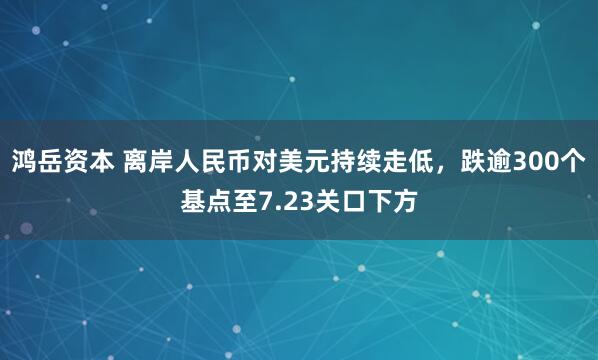 鸿岳资本 离岸人民币对美元持续走低，跌逾300个基点至7.23关口下方