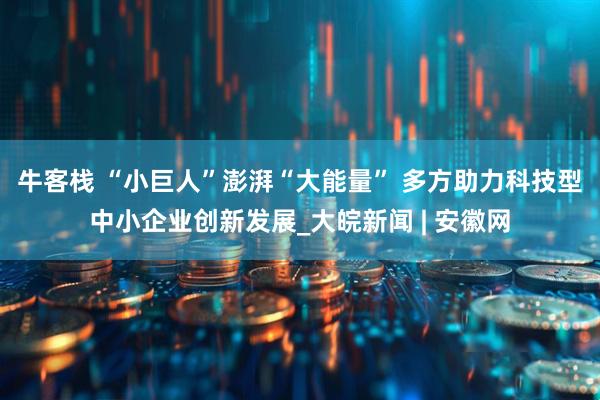牛客栈 “小巨人”澎湃“大能量” 多方助力科技型中小企业创新发展_大皖新闻 | 安徽网