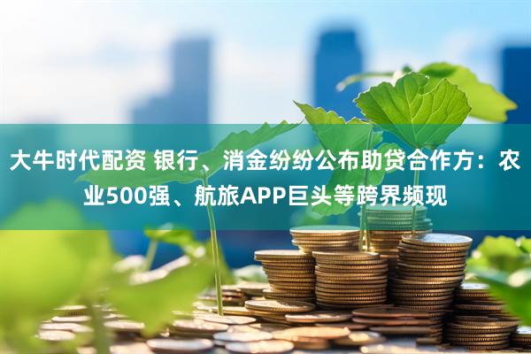 大牛时代配资 银行、消金纷纷公布助贷合作方：农业500强、航旅APP巨头等跨界频现