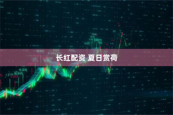 长红配资 夏日赏荷