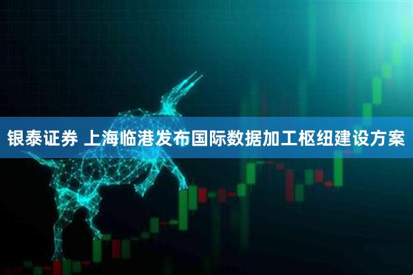 银泰证券 上海临港发布国际数据加工枢纽建设方案