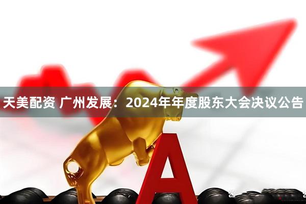 天美配资 广州发展：2024年年度股东大会决议公告