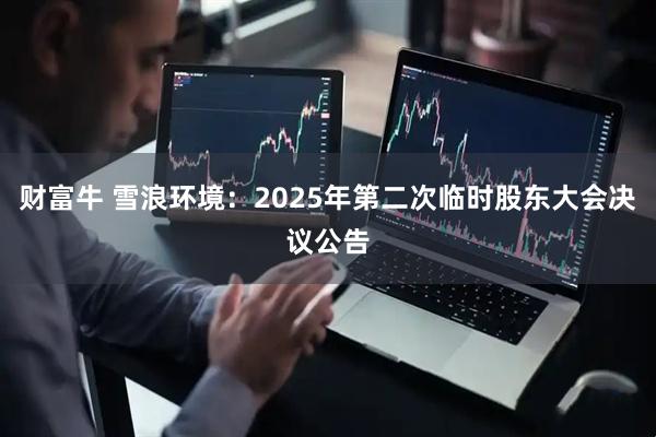 财富牛 雪浪环境：2025年第二次临时股东大会决议公告