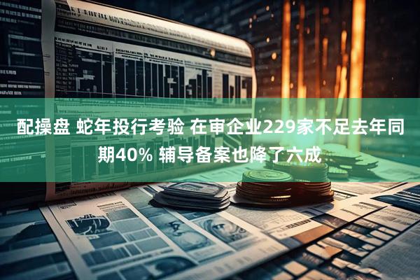配操盘 蛇年投行考验 在审企业229家不足去年同期40% 辅导备案也降了六成