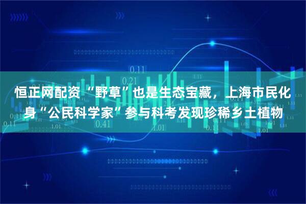 恒正网配资 “野草”也是生态宝藏,上海市民化身“公民科学家”参与科考发现珍稀乡土植物