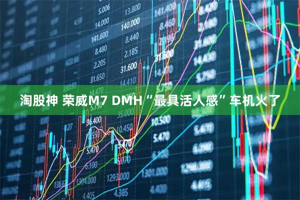 淘股神 荣威M7 DMH“最具活人感”车机火了