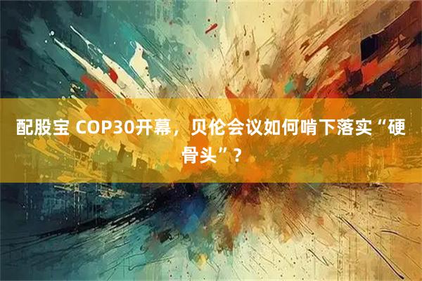 配股宝 COP30开幕，贝伦会议如何啃下落实“硬骨头”？