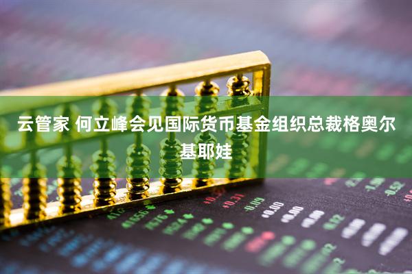 云管家 何立峰会见国际货币基金组织总裁格奥尔基耶娃
