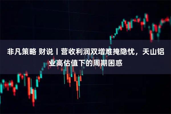 非凡策略 财说丨营收利润双增难掩隐忧，天山铝业高估值下的周期困惑