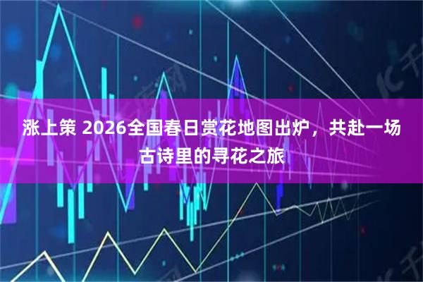 涨上策 2026全国春日赏花地图出炉，共赴一场古诗里的寻花之旅