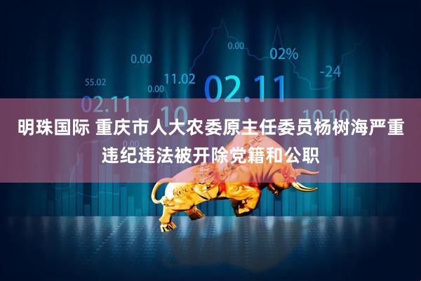明珠国际 重庆市人大农委原主任委员杨树海严重违纪违法被开除党籍和公职